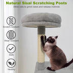 48 Inches Tall Cat Tree Multi-Level Kitten Tower with Large Condo Padded Top Perch