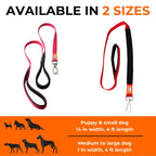 Canny Leash