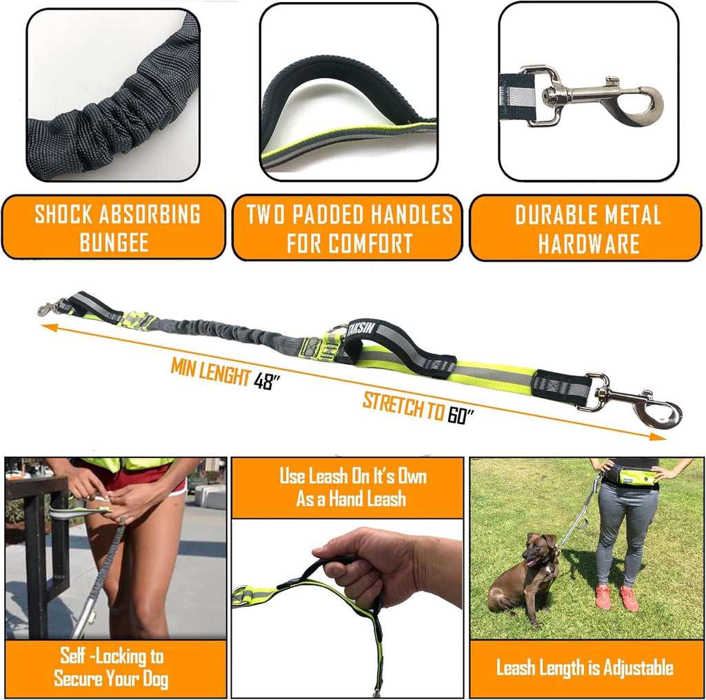 Hands Free Dog Leash Two Dogs Double Bungee Reflective Running Kit