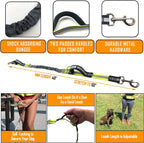 Hands Free Dog Leash Two Dogs Double Bungee Reflective Running Kit