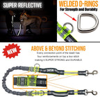 Hands Free Dog Leash Two Dogs Double Bungee Reflective Running Kit