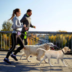Hands Free Dog Leash Dual Bungee Waist Belt Adjustable Running Walking 2 Dogs