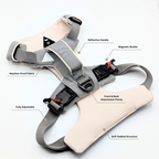 Magnetic Dog Harness with Handle - Easy On, No-Pull Design