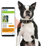 PetHub QR Pet ID Tag – Classic Aluminum