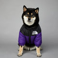 Winter Warm Thick Down Jacket for Small & Medium Dogs