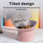 Tilted Ergonomic Elevated Cat Bowl