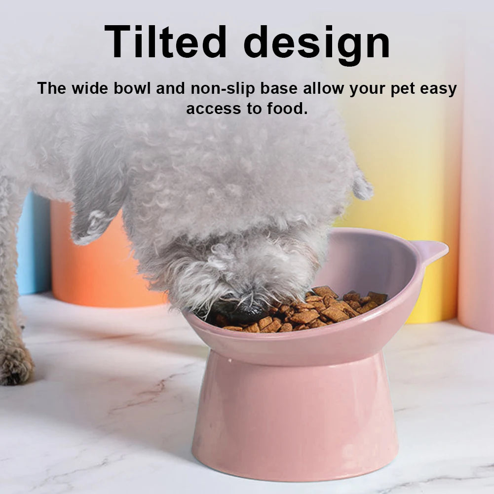 Tilted Ergonomic Elevated Cat Bowl