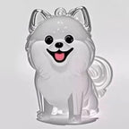 Clear Puppy Hair Memorial Keepsake Capsule | Pet Fur Container DIY Pendant Keychain