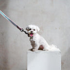 Le Classic Dog Leash