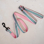 Le Classic Dog Leash