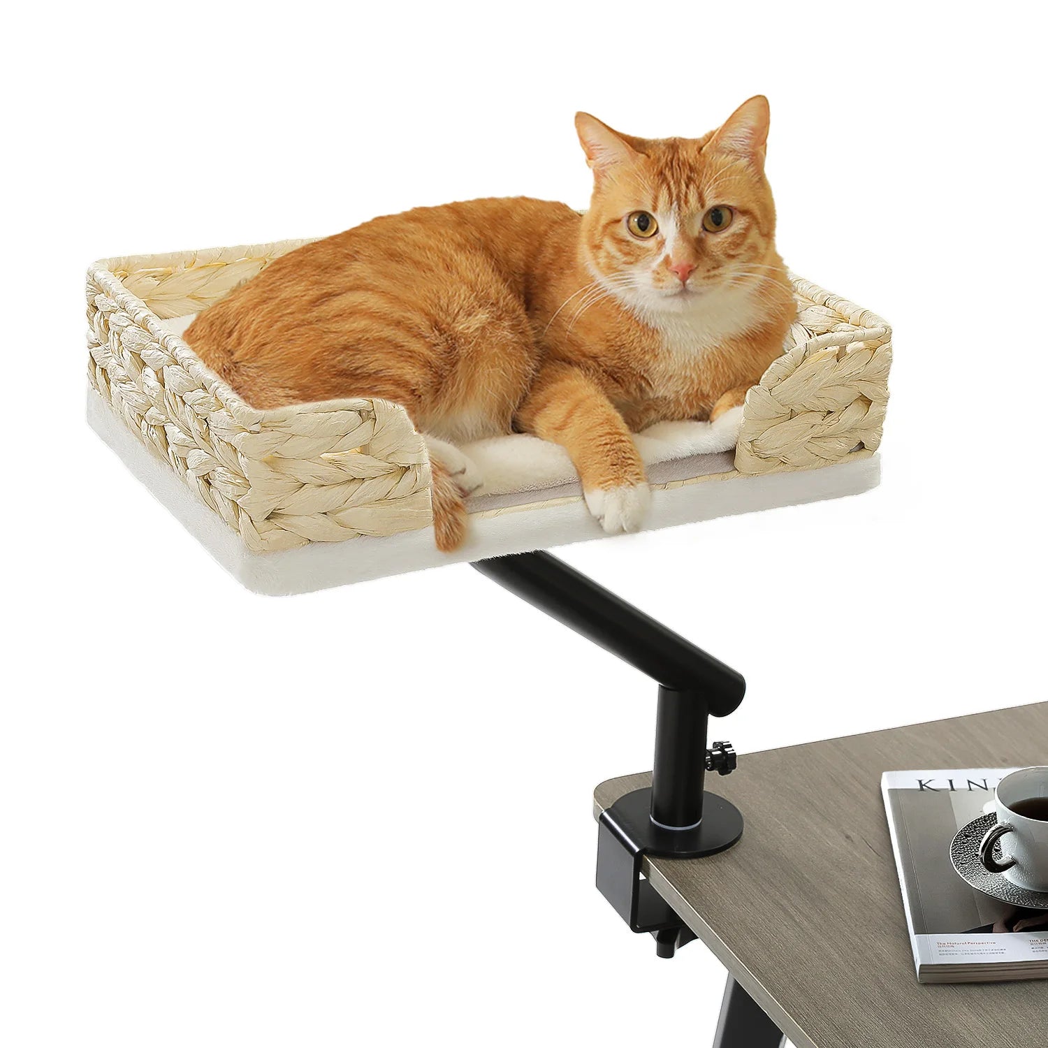 360° Rotatable Cat Bed Stand for Indoor Cats