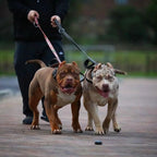 BESTIA DOG SPORT dual handle leash