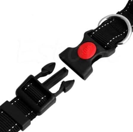 Hands Free Running Bungee Dog Leash - Assorted Colors