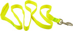 Jeffers 1-Ply Web Nylon Dog Leashes