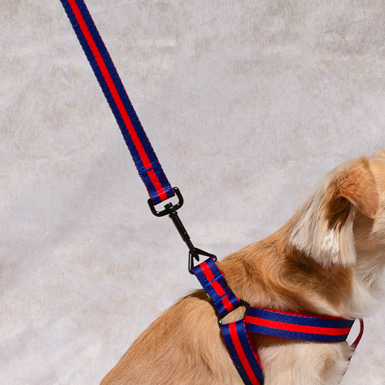 Le Classic Dog Leash