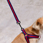 Le Classic Dog Leash